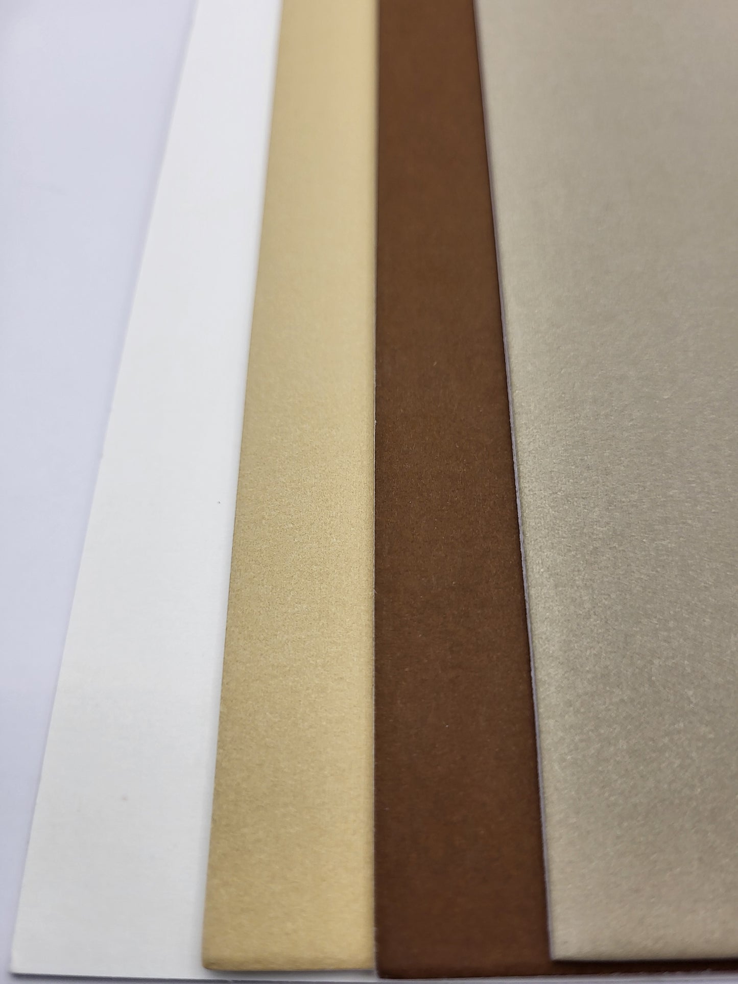 Red Winged Black Bird - Original Art