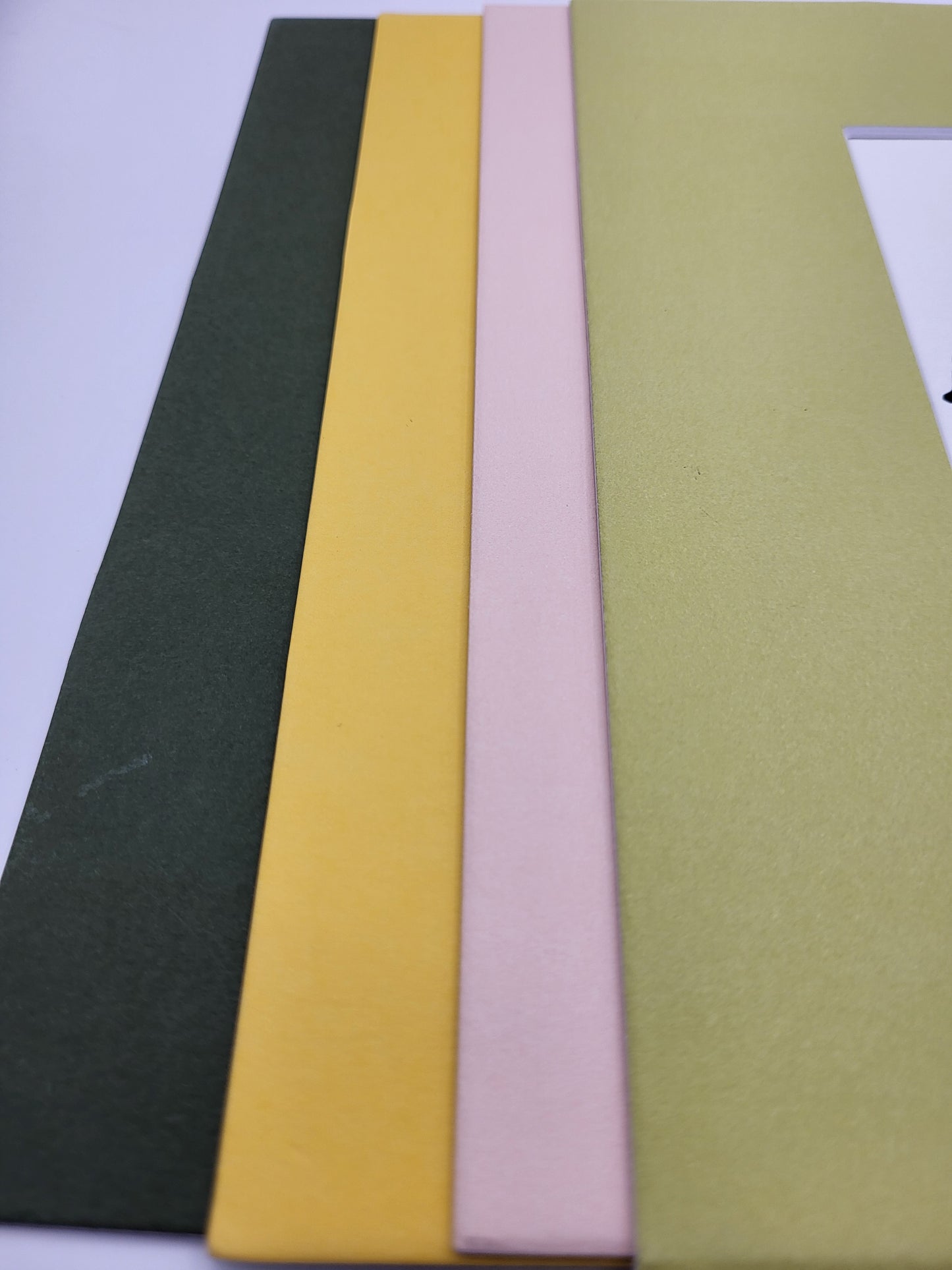 Goldfinch in Coneflower - Original Art